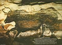 Lascaux, Fresque du Grand Taureau Noir